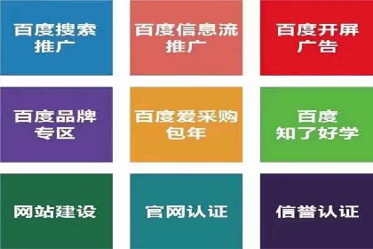 解析SEM推广代运营公司的成功案例及效果